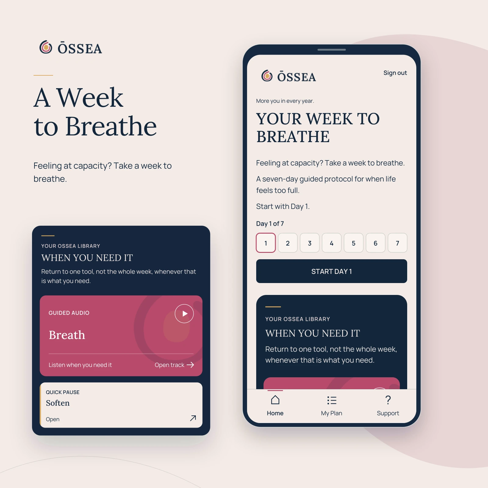 A Week to Breathe preview, showing the daily program and the rose guided audio card in the When You Need It library.